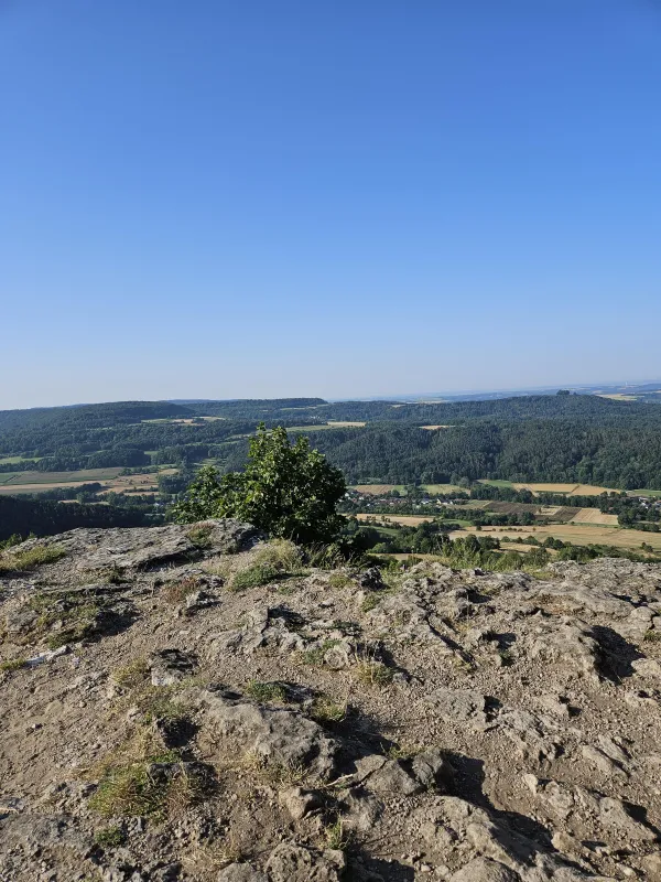 Der Blick von der felsigen Hochebene des Staffelbergs auf eine weitläufige Landschaft mit Wäldern, Feldern und einer Ortschaft unter einem wolkenlosen Himmel. Im Vordergrund befindet sich ein steiniger Untergrund mit einem kleinen grünen Baum. (KI-generierte Bildbeschreibung)