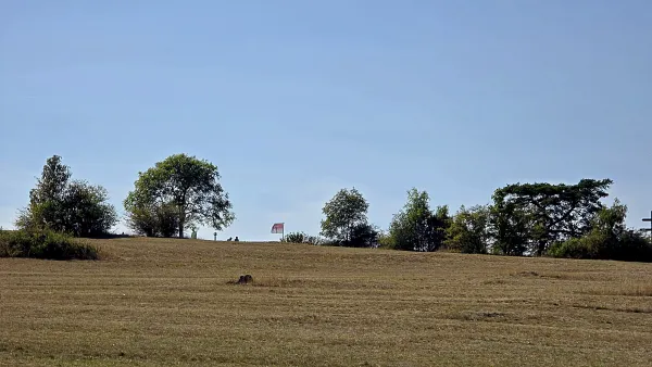 Eine trockene, leicht ansteigende Wiese führt hinauf zum Plateau des Staffelbergs, auf dem vereinzelte Bäume stehen. Am Horizont weht eine rot-weiße Flagge unter einem wolkenlosen, blauen Himmel. (KI-generierte Bildbeschreibung)