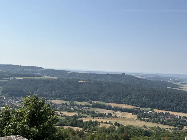 Weitläufiger Ausblick auf eine hügelige Landschaft mit dichten Wäldern, Feldern und kleinen Ortschaften unter einem klaren, blauen Himmel. Im linken Vordergrund ist ein grüner Strauch zu sehen. (KI-generierte Bildbeschreibung)