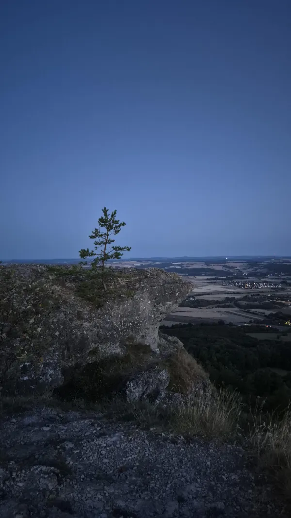 Ein kleiner Nadelbaum wächst an einem markanten Felsvorsprung des Staffelbergs in der Abenddämmerung. Im Hintergrund erstreckt sich die weite Landschaft des Maintals mit einer beleuchteten Ortschaft unter einem tiefblauen Himmel. (KI-generierte Bildbeschreibung)