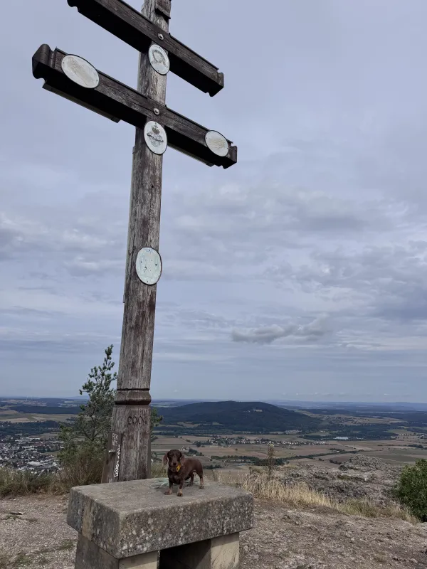 Ein großes, hölzernes Gipfelkreuz mit zwei Querbalken steht auf dem Plateau des Staffelbergs vor einer weiten Landschaftsaussicht. Auf einer Steinbank am Fuße des Kreuzes steht ein kleiner, brauner Dackel unter einem bewölkten Himmel. (KI-generierte Bildbeschreibung)
