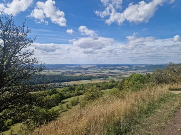 Blick von einer Anhöhe über eine weite Landschaft mit Feldern, Wäldern und kleinen Ortschaften unter einem leicht bewölkten blauen Himmel. Im Vordergrund sind eine Wiese mit trockenem Gras sowie vereinzelte Bäume zu sehen. (KI-generierte Bildbeschreibung)