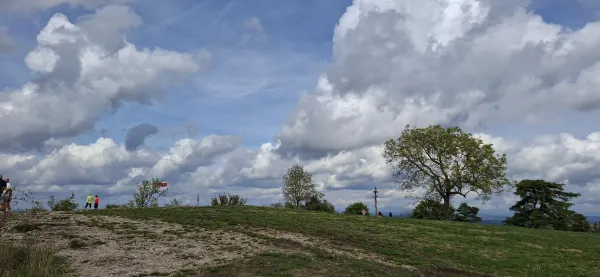 Auf dem grasbewachsenen Plateau des Staffelbergs befinden sich einzelne Bäume, ein Gipfelkreuz und einige Spaziergänger. Über der Landschaft erstreckt sich ein weiter, blau-weißer Wolkenhimmel. (KI-generierte Bildbeschreibung)
