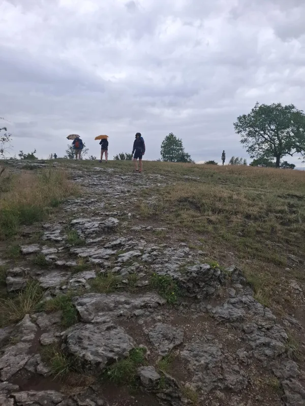Drei Wandernde gehen bei bewölktem Wetter über das felsige Gipfelplateau des Staffelbergs. Der Boden ist von grauen Steinplatten und trockenen Grasflächen geprägt. (KI-generierte Bildbeschreibung)
