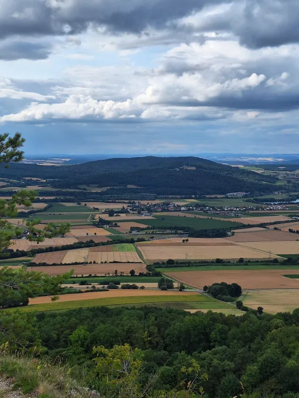 Blick von einem bewaldeten Hang auf eine weite Agrarlandschaft mit Feldern, Ortschaften und einem markanten bewaldeten Berg im Hintergrund. Über der Landschaft wölbt sich ein bewölkter Himmel. (KI-generierte Bildbeschreibung)